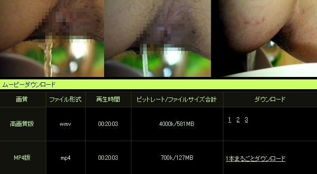 1919gogoで盗撮動画ダウンロード